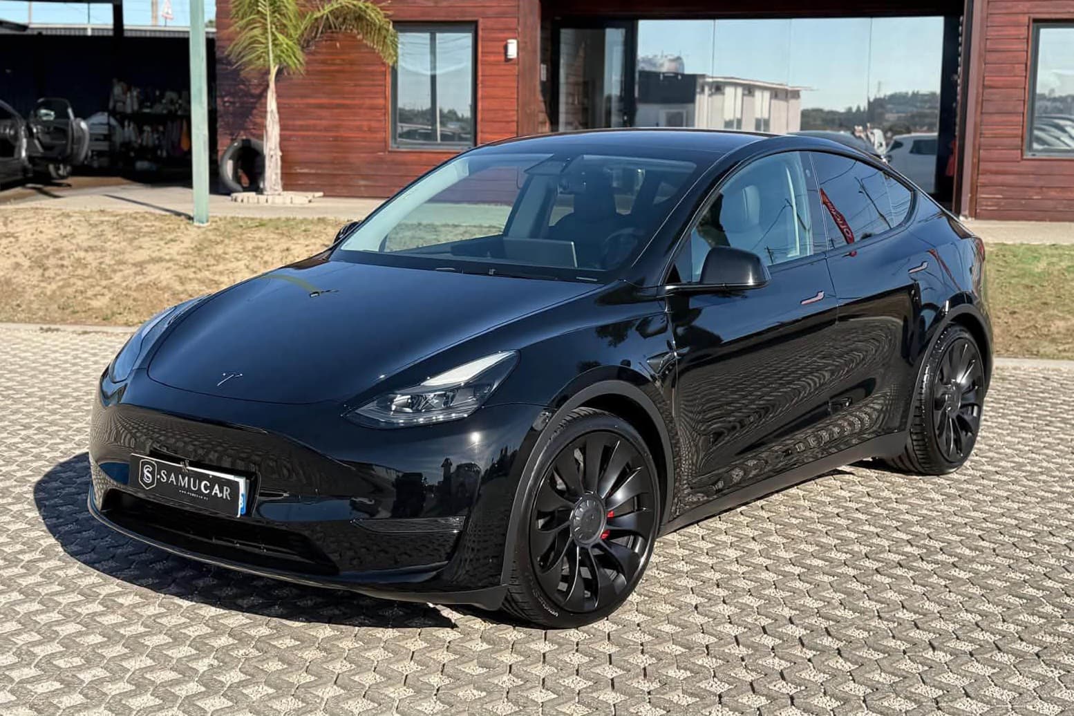 Tesla Model Y Performance