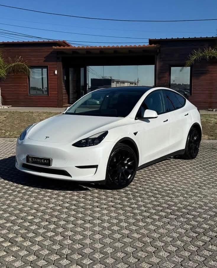 Tesla Model Y Long Range Dual Motor