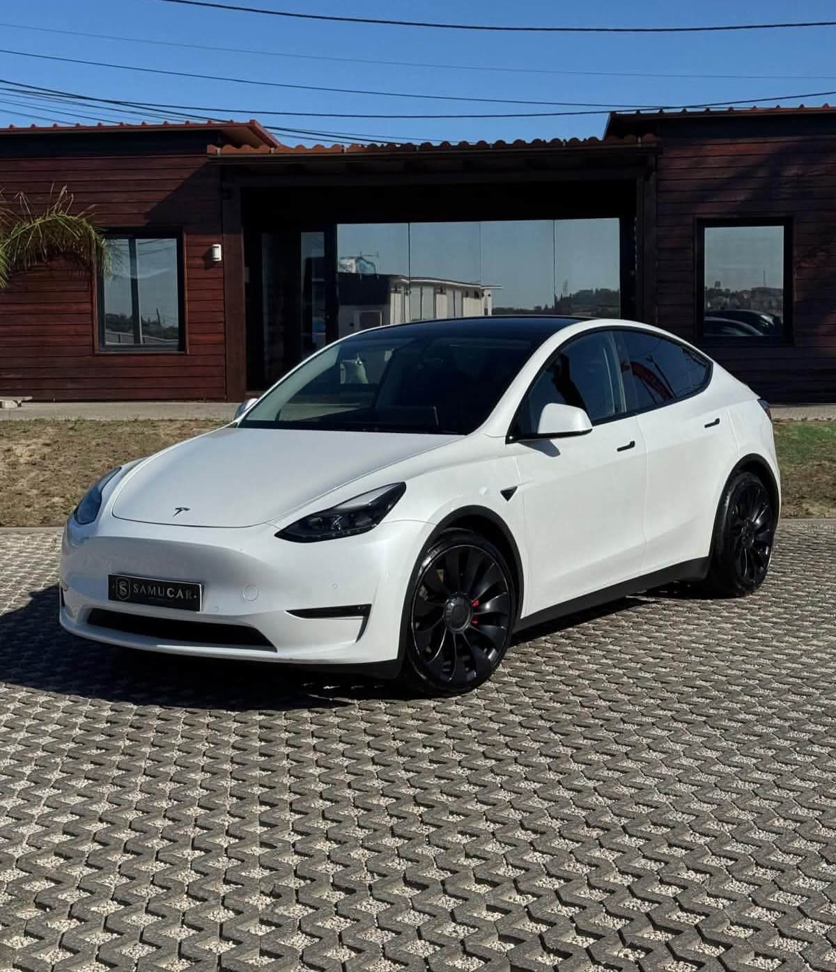 Tesla Model Y Performance