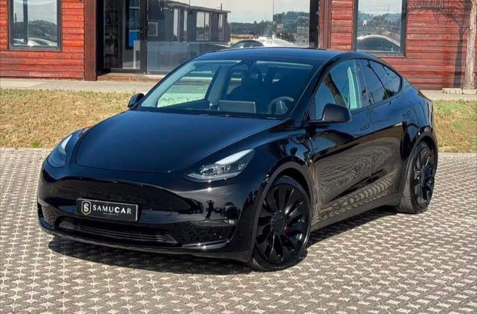 Tesla Model Y Performance
